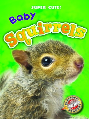 cover image of Baby Squirrels